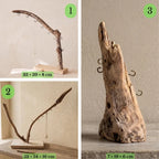 Handcrafted Driftwood Jewelry Holder, Necklace & Ring Display