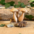 Hand Carved Wooden Mushroom Rustic Woodland Home Decor Ornament