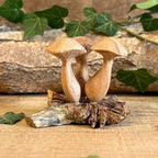 Hand Carved Wooden Mushroom Rustic Woodland Home Decor Ornament