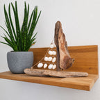 Handmade Seashell Sailboat Driftwood Coastal Beach House Decor