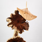Hand Carved Wooden Stingray Sculpture Driftwood Coastal Ocean Decor