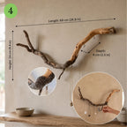 Natural Driftwood Jewelry Holder, Rustic Wall Organizer with Key Hooks