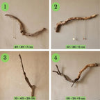 Natural Driftwood Jewelry Holder, Rustic Wall Organizer with Key Hooks