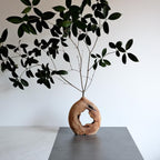 Natural Hollow Wood Vase Holder, Wabi-Sabi Sculptural Centerpiece