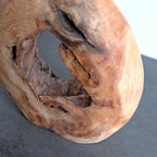 Natural Hollow Wood Vase Holder, Wabi-Sabi Sculptural Centerpiece