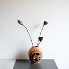 Natural Hollow Wood Vase Holder, Wabi-Sabi Sculptural Centerpiece