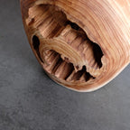 Natural Hollow Wood Vase Holder, Wabi-Sabi Sculptural Centerpiece